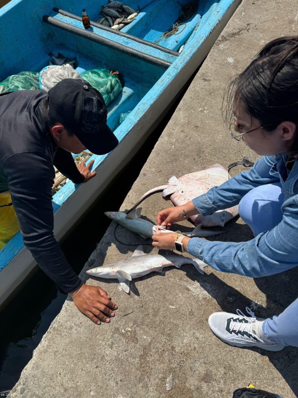 Exposición fotográfica